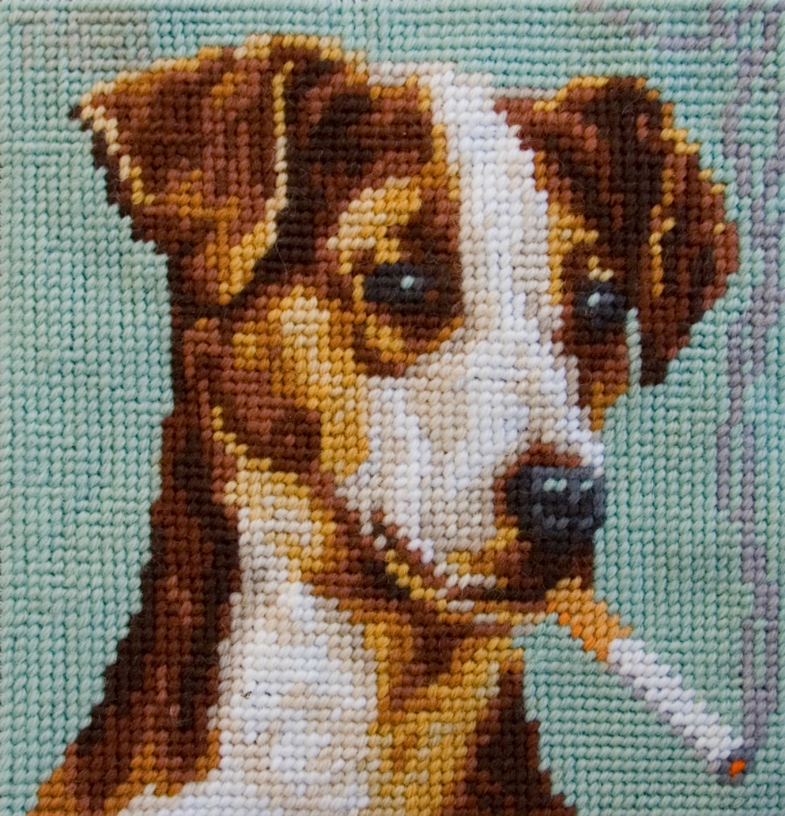 'Jack Russel' from the series 'Smoking Dogs'